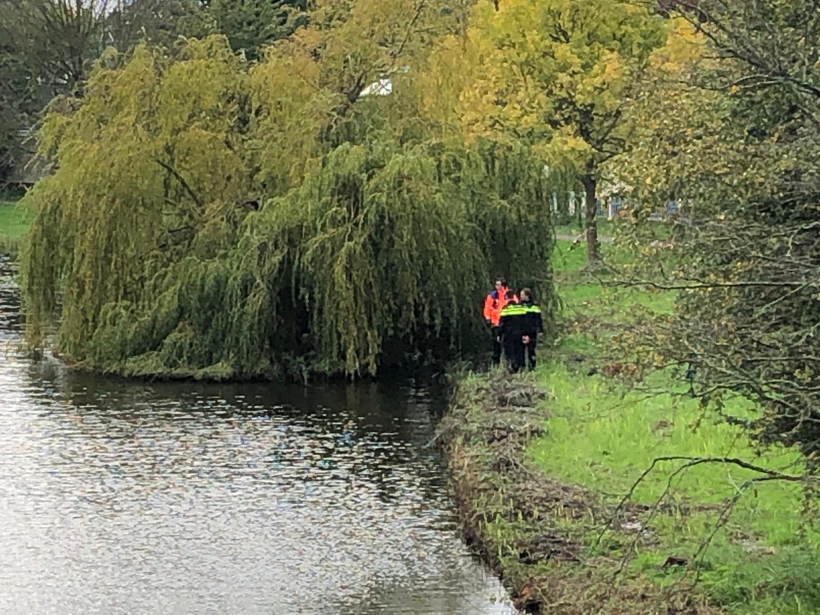 Massale Zoekactie Vermiste Joop - Hond Aangeslagen Op Locatie Nabij ...